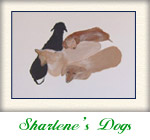 Sharlene's Dogs